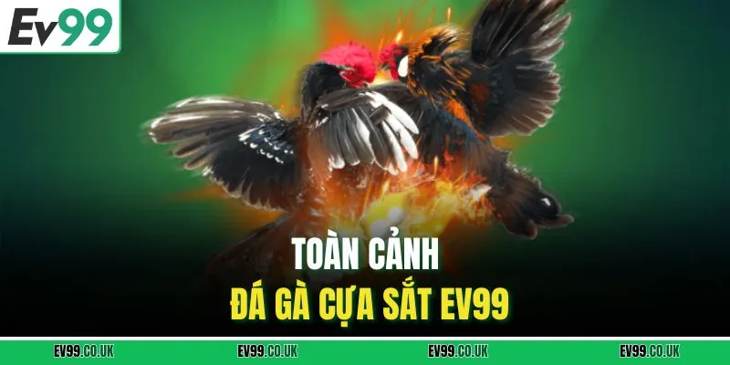 Toàn cảnh đá gà cựa sắt EV99